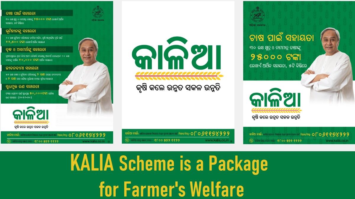 KALIA scheme is a package for farmer's welfare